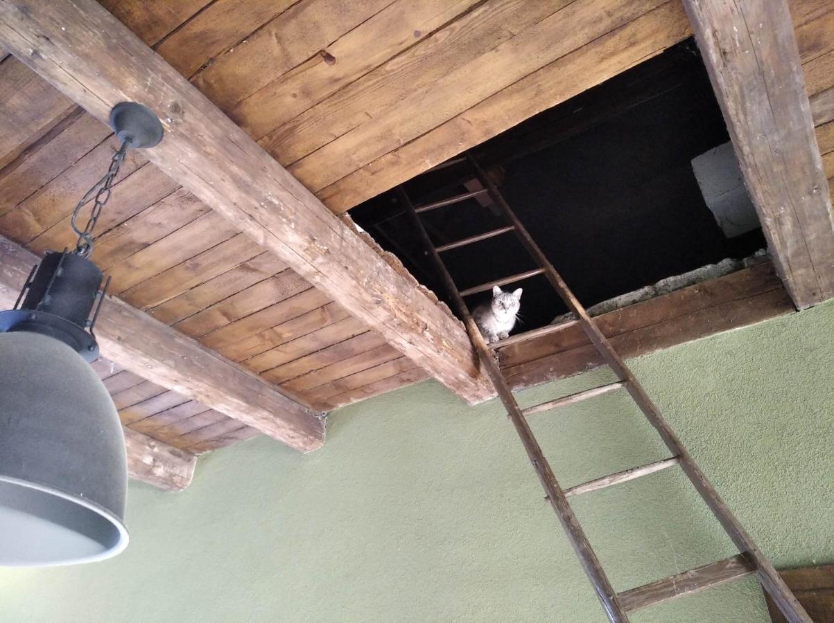 Ubytování u Malinkovičů Břeclav Exteriér fotografie